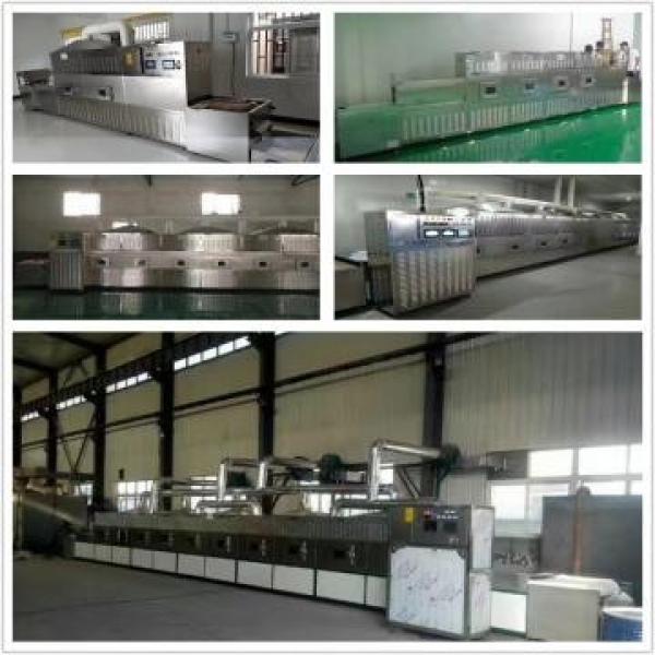Industrial Continuous Tunnel Microwave Food Thawing Machine #3 image