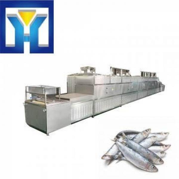 Tunnel 50 Kw Microwave Fish Thawing Machine #1 image