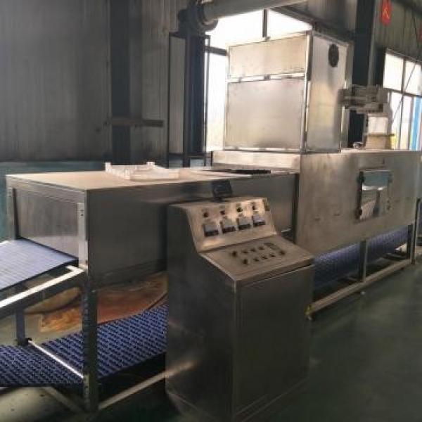 2018 Hot Sale 200KW Tunnel Frozen Chicken Microwave Thawing Machine #2 image