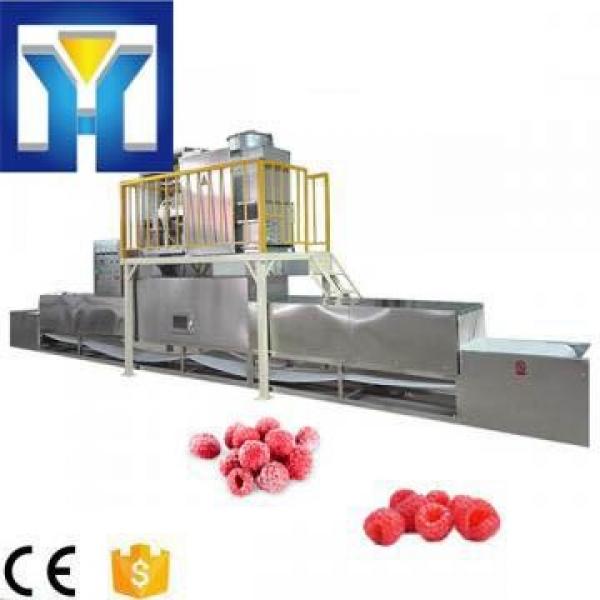 High Efficiency 25kw Microwave Frozen Fruit Thawing Machine #1 image