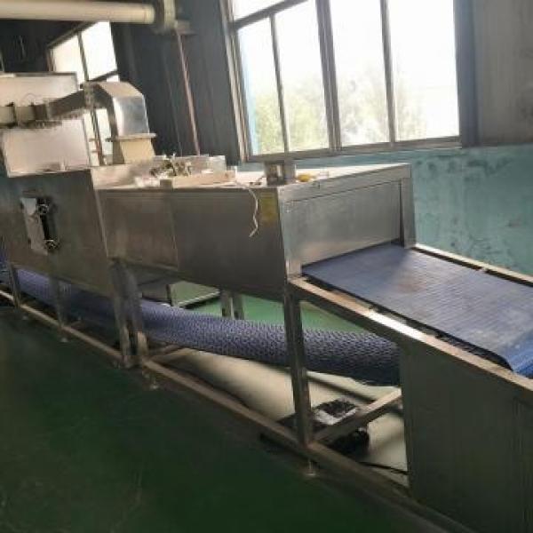 25KW New Condition Food Thawing Machinery Microwave Chicken/beef Unfreeze Machine #3 image