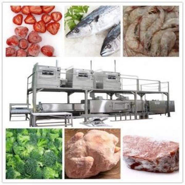 25KW New Condition Food Thawing Machinery Microwave Chicken/beef Unfreeze Machine #4 image
