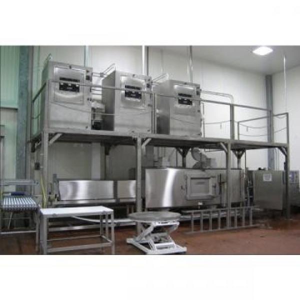 Fully Automatic Tunnel Microwave Thawing Food Equipment #2 image