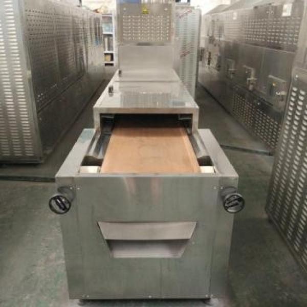 Tunnel-type Microwave Conveyor For Pork Thawing Equipment #4 image
